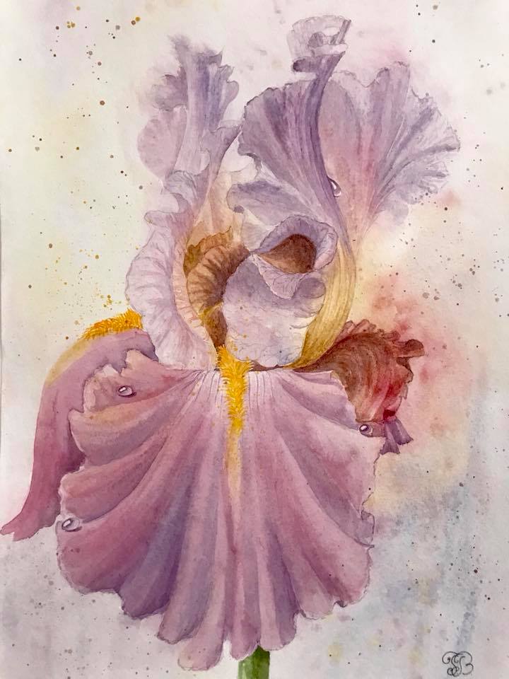 Iris watercolor painting