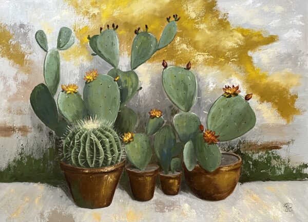 Blooming Cactuses