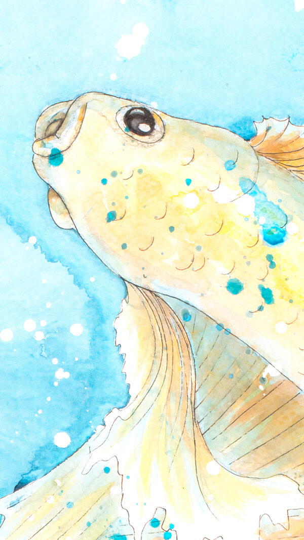 Betta Fish acrylic painting