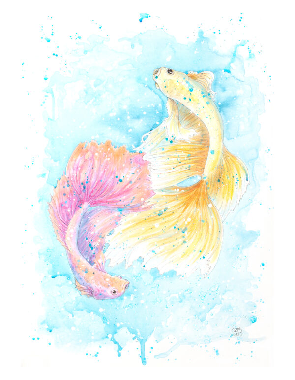 Betta Fish acrylic painting