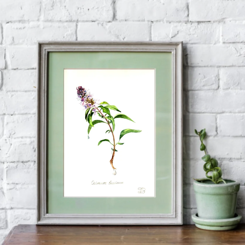 Basil Watercolor Botanical Painting