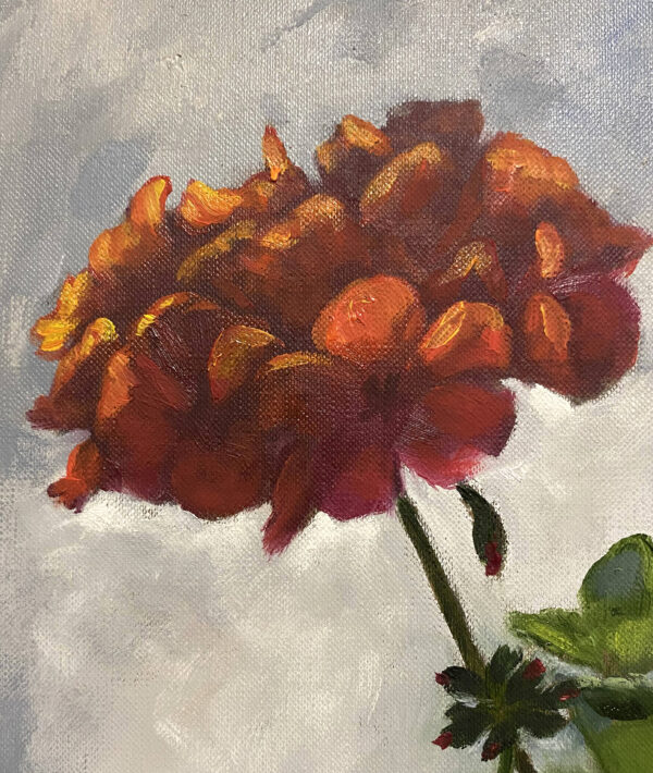 Red Geranium oil painting by Tatyana Bondareva detail