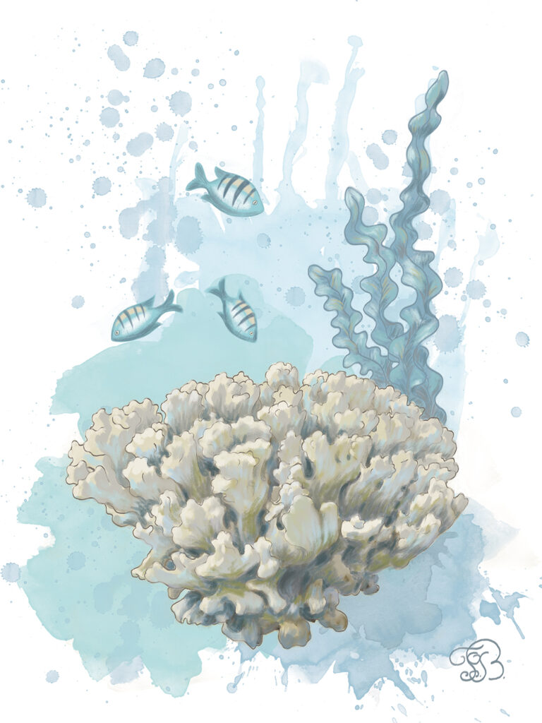 Corals digital painting by Tatyana Bondareva