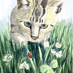 Curious Cat Watercolor Card