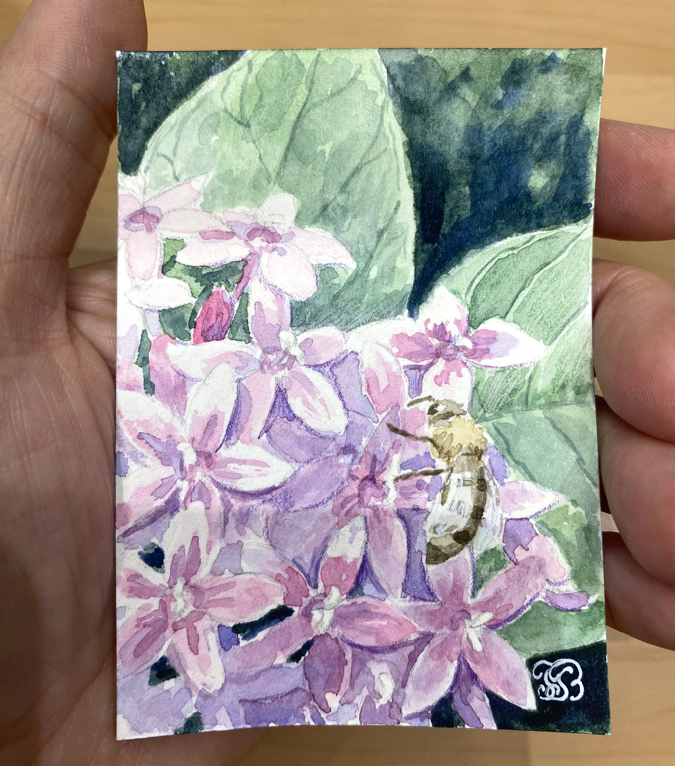Bee Among Blossoms Original Watercolor ACEO Card, Miniature Painting